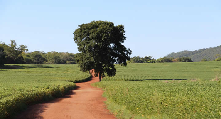 Diploma in Agri-Business & Natural Resource Management