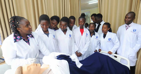 Diploma in Nursing (KRCHN)